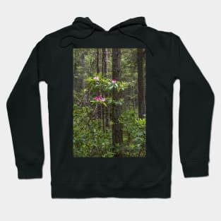 Rhododendron Blooming in Forest - Manning Park Hoodie